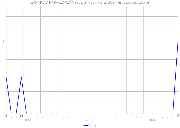 FERNANDO PAJARES PEÑA (Spain) Page visits 2024 