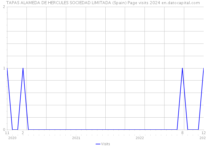 TAPAS ALAMEDA DE HERCULES SOCIEDAD LIMITADA (Spain) Page visits 2024 