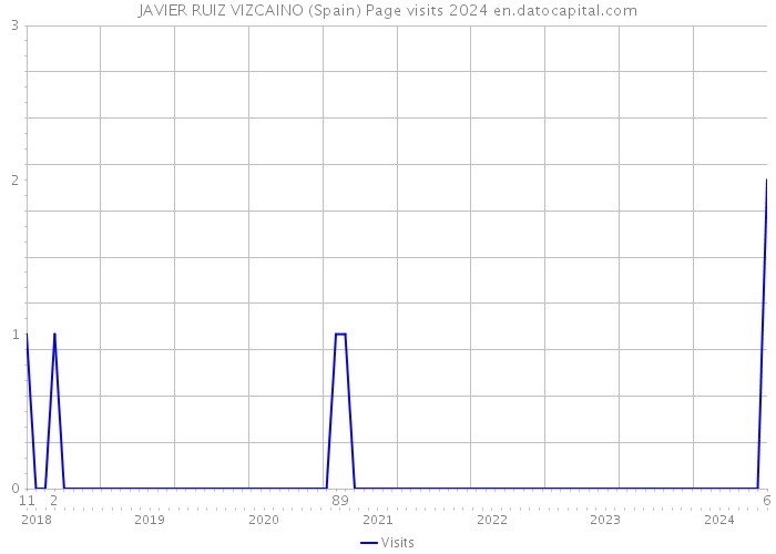 JAVIER RUIZ VIZCAINO (Spain) Page visits 2024 