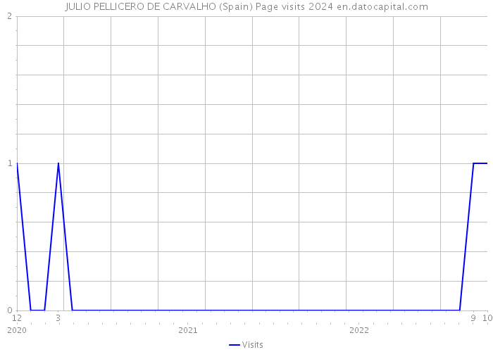 JULIO PELLICERO DE CARVALHO (Spain) Page visits 2024 