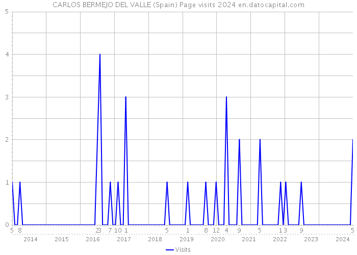 CARLOS BERMEJO DEL VALLE (Spain) Page visits 2024 