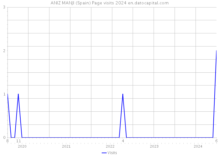 ANIZ MANJI (Spain) Page visits 2024 