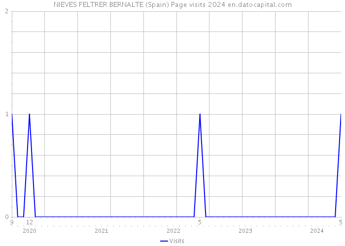 NIEVES FELTRER BERNALTE (Spain) Page visits 2024 