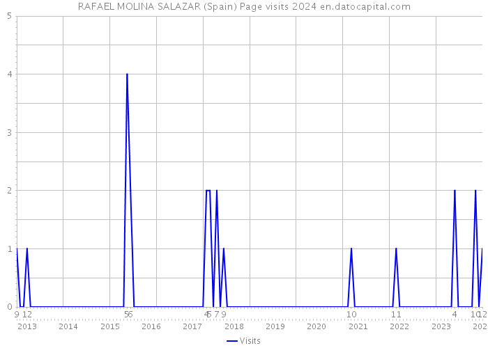 RAFAEL MOLINA SALAZAR (Spain) Page visits 2024 