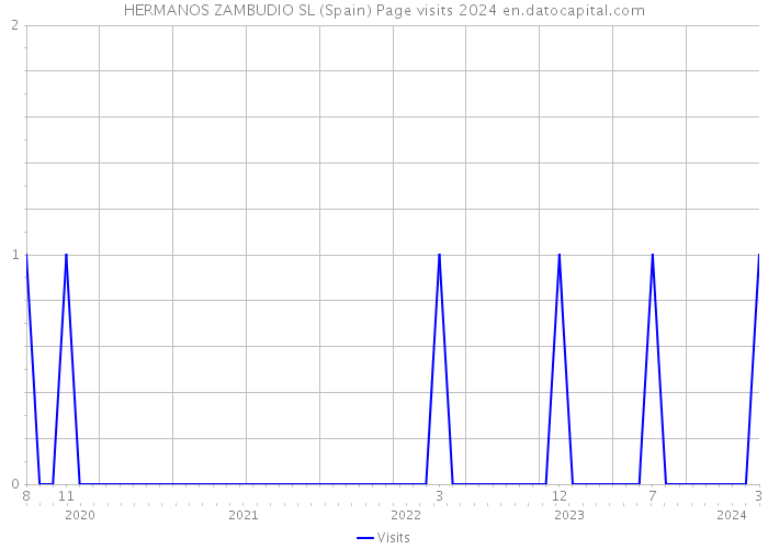 HERMANOS ZAMBUDIO SL (Spain) Page visits 2024 