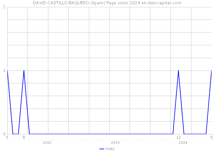 DAVID CASTILLO BAQUERO (Spain) Page visits 2024 