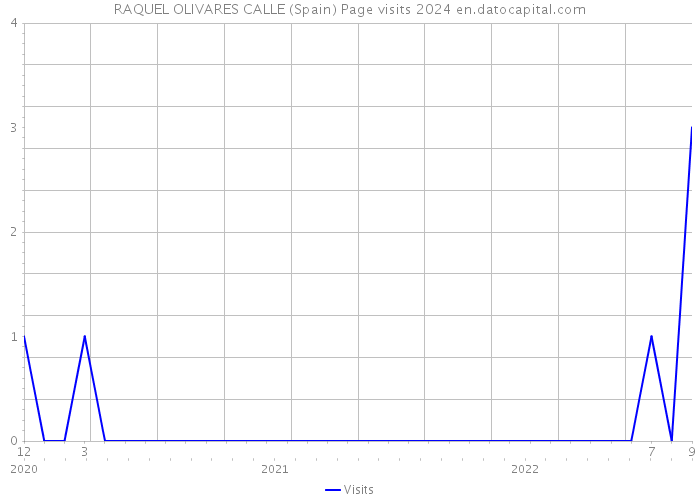 RAQUEL OLIVARES CALLE (Spain) Page visits 2024 