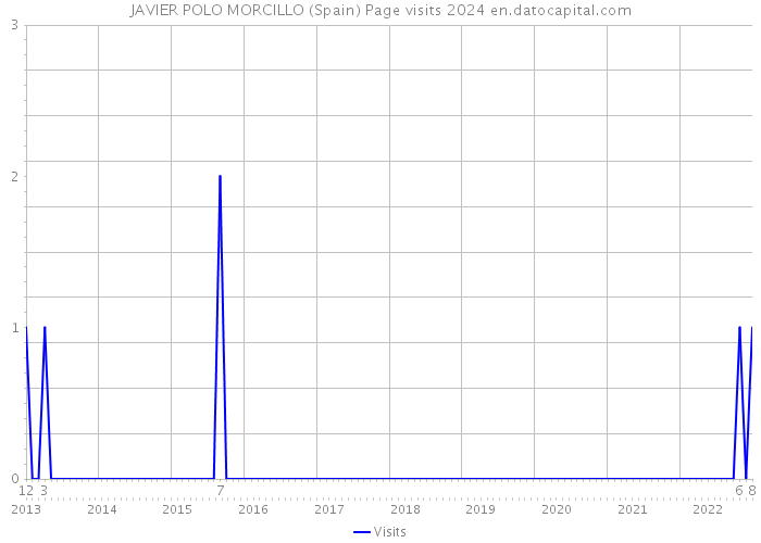 JAVIER POLO MORCILLO (Spain) Page visits 2024 