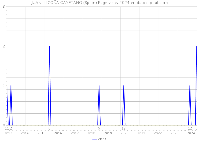 JUAN LLIGOÑA CAYETANO (Spain) Page visits 2024 