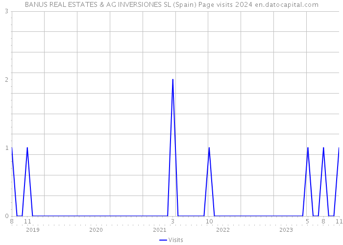 BANUS REAL ESTATES & AG INVERSIONES SL (Spain) Page visits 2024 