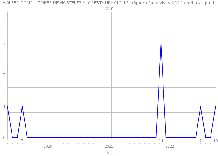 HOLFER CONSULTORES DE HOSTELERIA Y RESTAURACION SL (Spain) Page visits 2024 