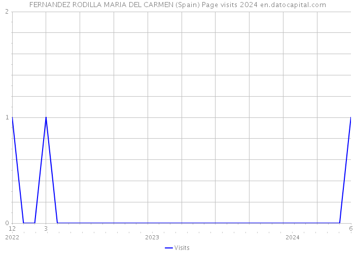 FERNANDEZ RODILLA MARIA DEL CARMEN (Spain) Page visits 2024 