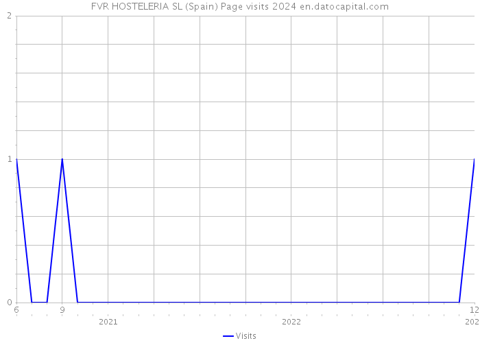 FVR HOSTELERIA SL (Spain) Page visits 2024 