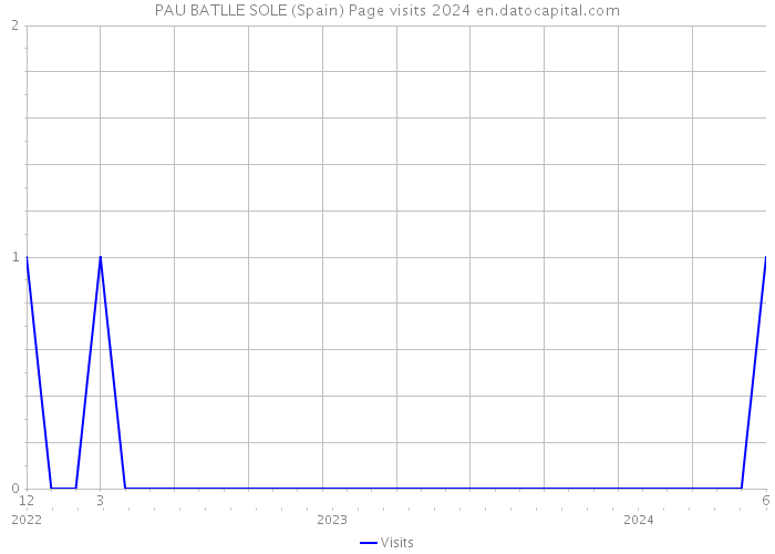 PAU BATLLE SOLE (Spain) Page visits 2024 