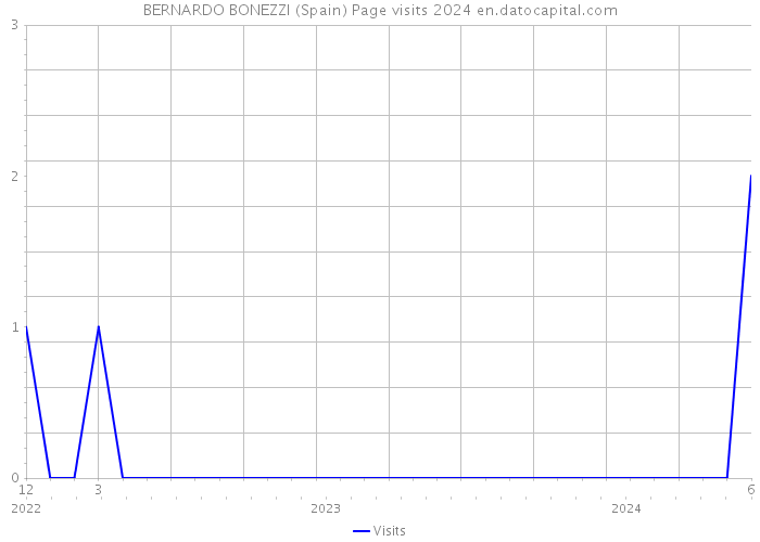 BERNARDO BONEZZI (Spain) Page visits 2024 