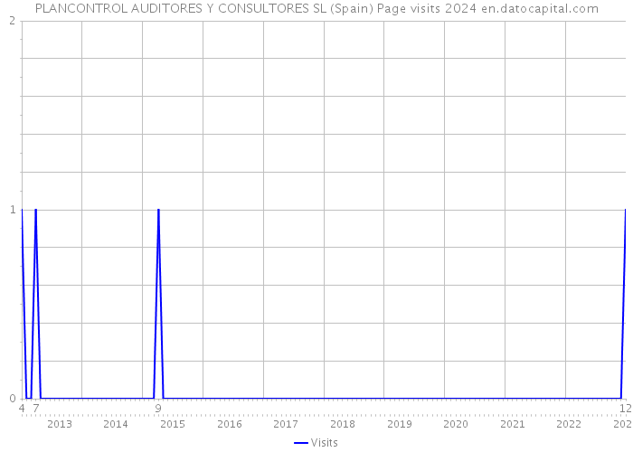 PLANCONTROL AUDITORES Y CONSULTORES SL (Spain) Page visits 2024 