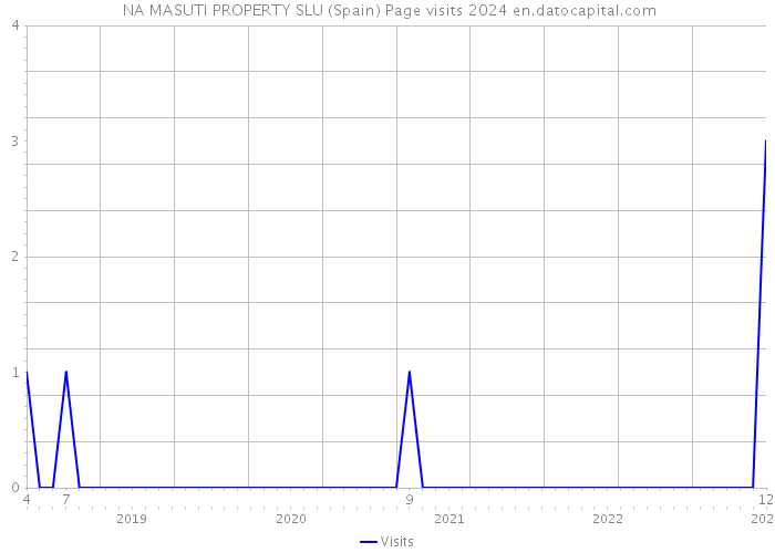  NA MASUTI PROPERTY SLU (Spain) Page visits 2024 