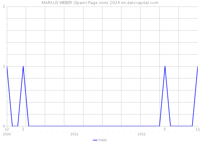 MARKUS WEBER (Spain) Page visits 2024 