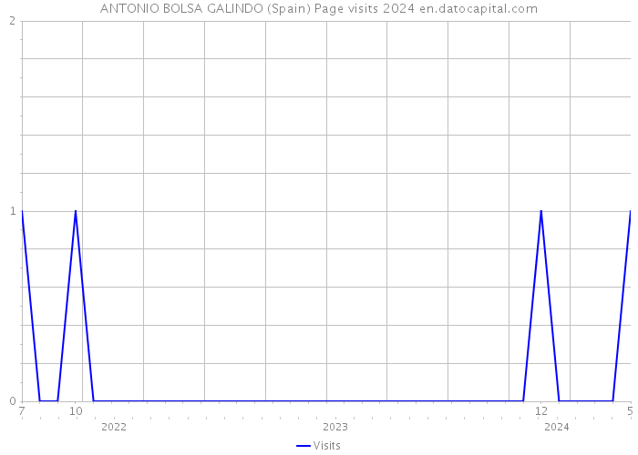 ANTONIO BOLSA GALINDO (Spain) Page visits 2024 