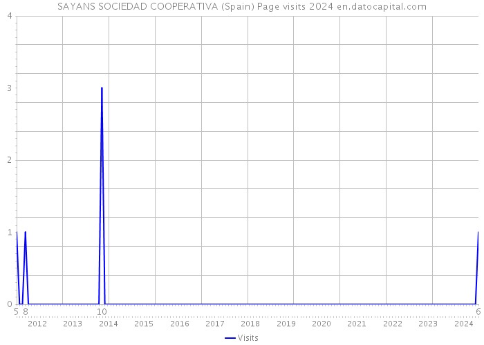 SAYANS SOCIEDAD COOPERATIVA (Spain) Page visits 2024 