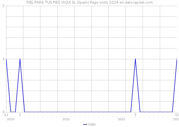 PIEL PARA TUS PIES VIQUI SL (Spain) Page visits 2024 