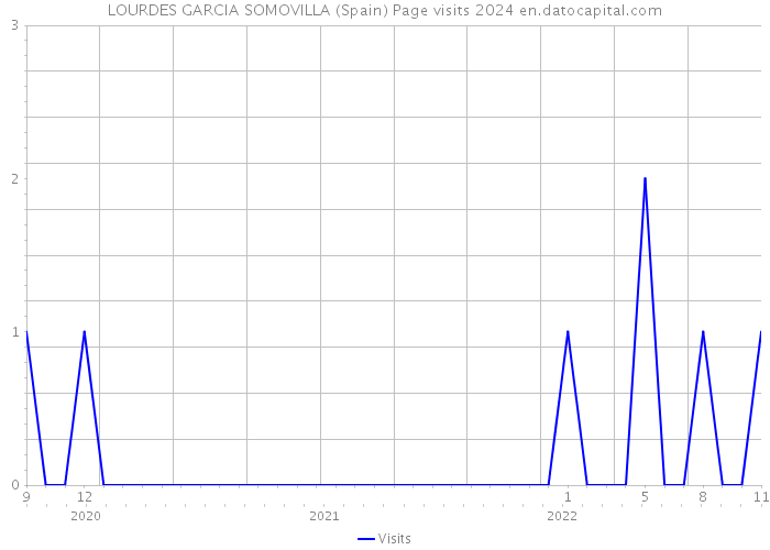LOURDES GARCIA SOMOVILLA (Spain) Page visits 2024 
