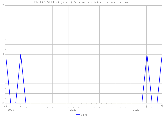 DRITAN SHPUZA (Spain) Page visits 2024 
