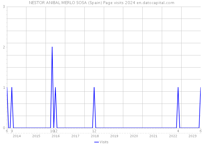 NESTOR ANIBAL MERLO SOSA (Spain) Page visits 2024 
