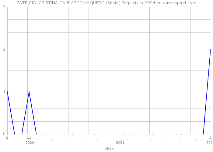 PATRICIA-CRISTINA CARRASCO VAQUERO (Spain) Page visits 2024 