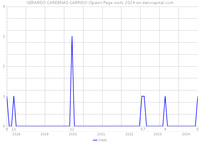 GERARDO CARDENAS GARRIDO (Spain) Page visits 2024 