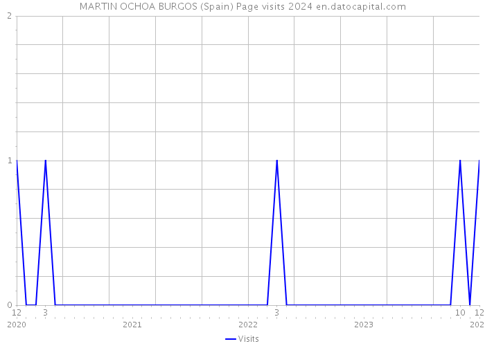 MARTIN OCHOA BURGOS (Spain) Page visits 2024 