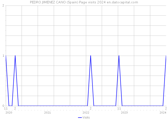 PEDRO JIMENEZ CANO (Spain) Page visits 2024 