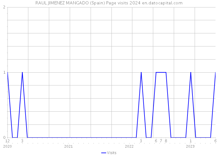 RAUL JIMENEZ MANGADO (Spain) Page visits 2024 