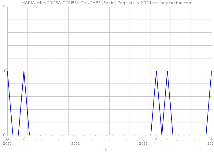 MARIA MILAGROSA CONESA SANCHEZ (Spain) Page visits 2024 