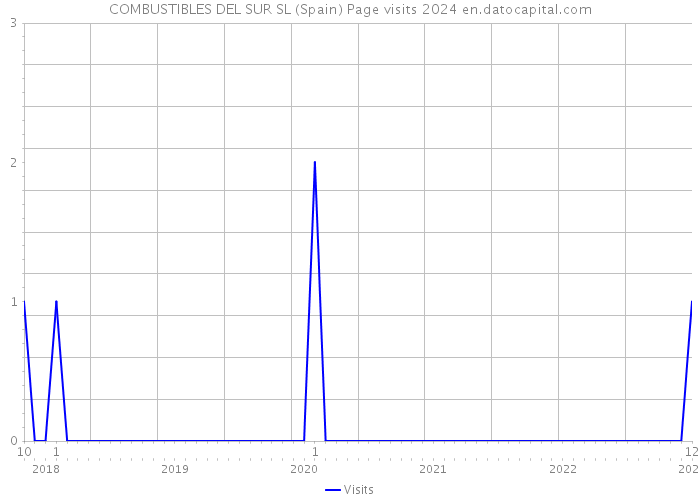 COMBUSTIBLES DEL SUR SL (Spain) Page visits 2024 