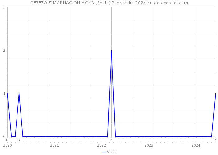 CEREZO ENCARNACION MOYA (Spain) Page visits 2024 