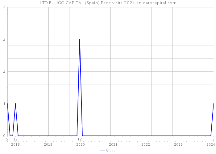 LTD BULIGO CAPITAL (Spain) Page visits 2024 