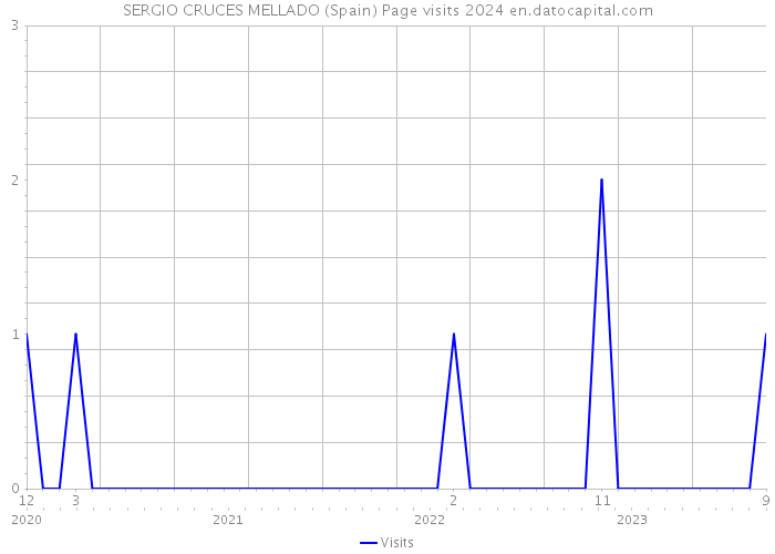 SERGIO CRUCES MELLADO (Spain) Page visits 2024 