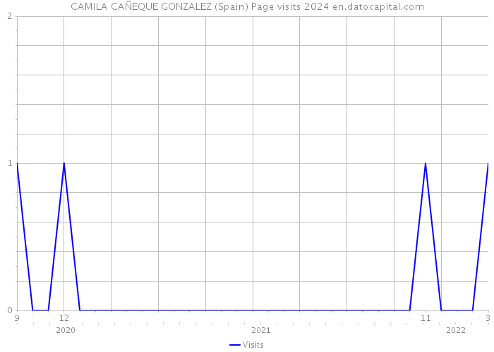 CAMILA CAÑEQUE GONZALEZ (Spain) Page visits 2024 