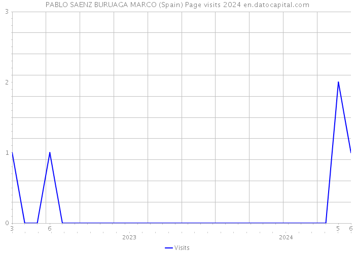 PABLO SAENZ BURUAGA MARCO (Spain) Page visits 2024 