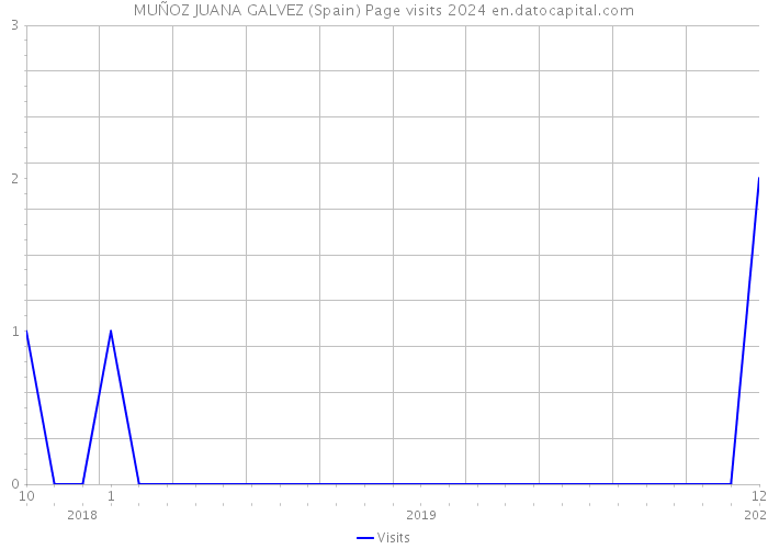 MUÑOZ JUANA GALVEZ (Spain) Page visits 2024 