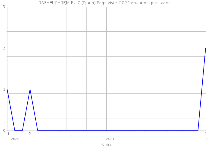 RAFAEL PAREJA RUIZ (Spain) Page visits 2024 