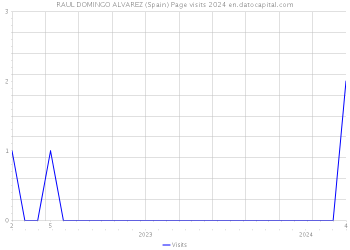 RAUL DOMINGO ALVAREZ (Spain) Page visits 2024 