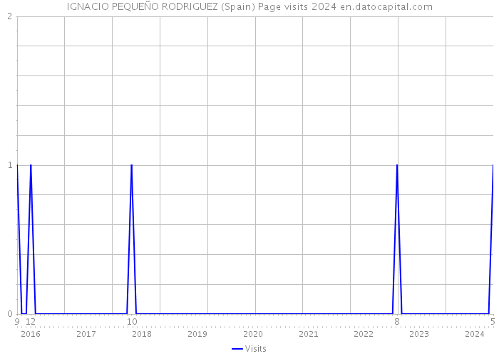 IGNACIO PEQUEÑO RODRIGUEZ (Spain) Page visits 2024 