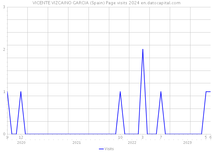 VICENTE VIZCAINO GARCIA (Spain) Page visits 2024 