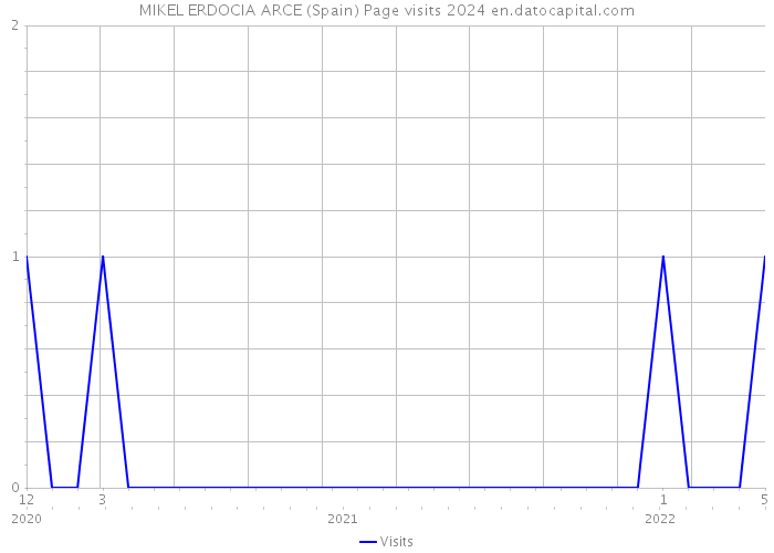 MIKEL ERDOCIA ARCE (Spain) Page visits 2024 