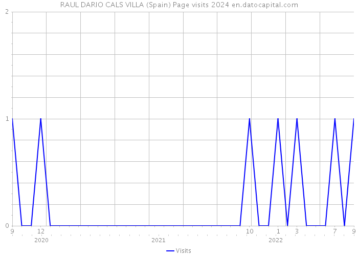 RAUL DARIO CALS VILLA (Spain) Page visits 2024 