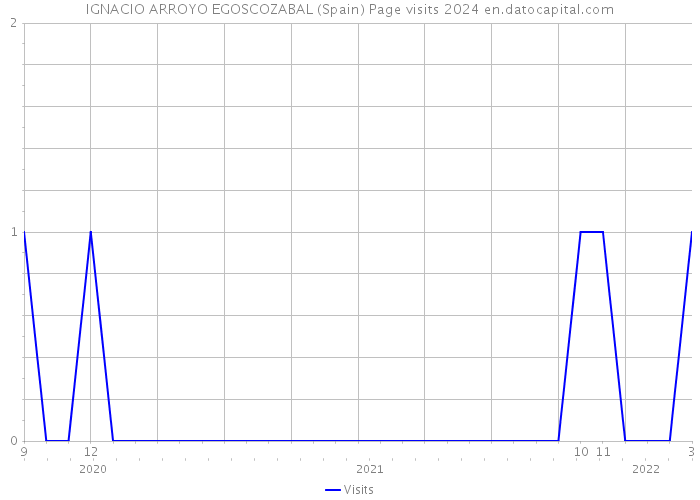 IGNACIO ARROYO EGOSCOZABAL (Spain) Page visits 2024 