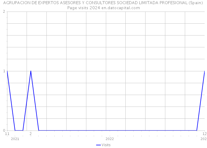 AGRUPACION DE EXPERTOS ASESORES Y CONSULTORES SOCIEDAD LIMITADA PROFESIONAL (Spain) Page visits 2024 