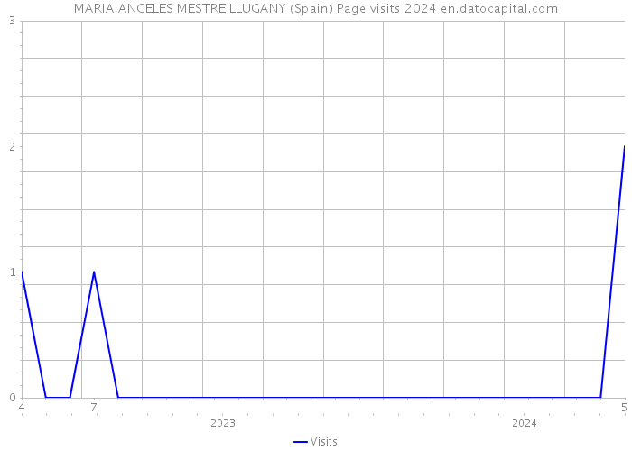 MARIA ANGELES MESTRE LLUGANY (Spain) Page visits 2024 